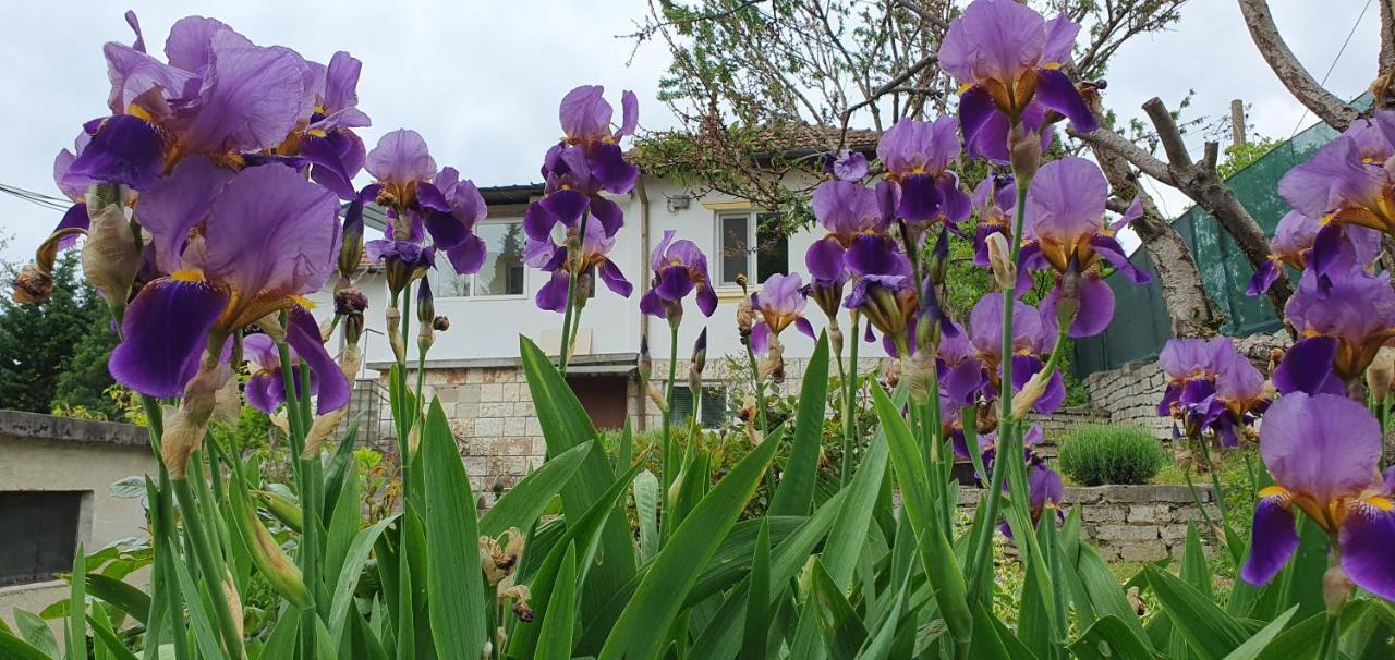 Стая За Гости "Ирина" Balchik Bagian luar foto